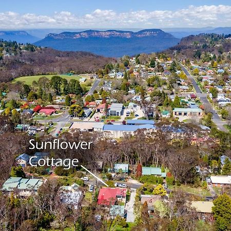 Sunflower Cottage Katoomba Exterior foto