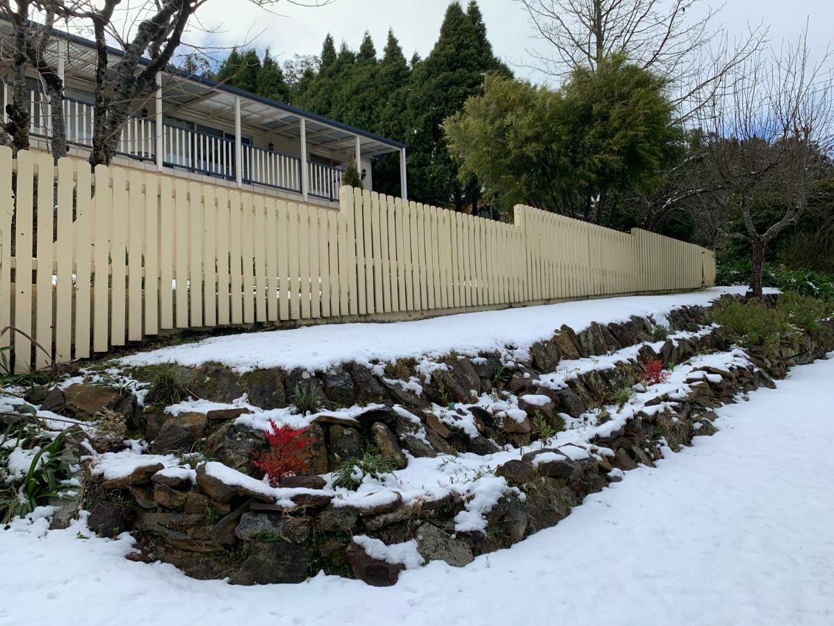 Sunflower Cottage Katoomba Exterior foto